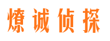 龙里侦探